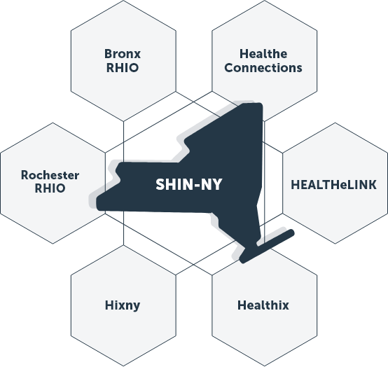 SHIN-NY Infographic